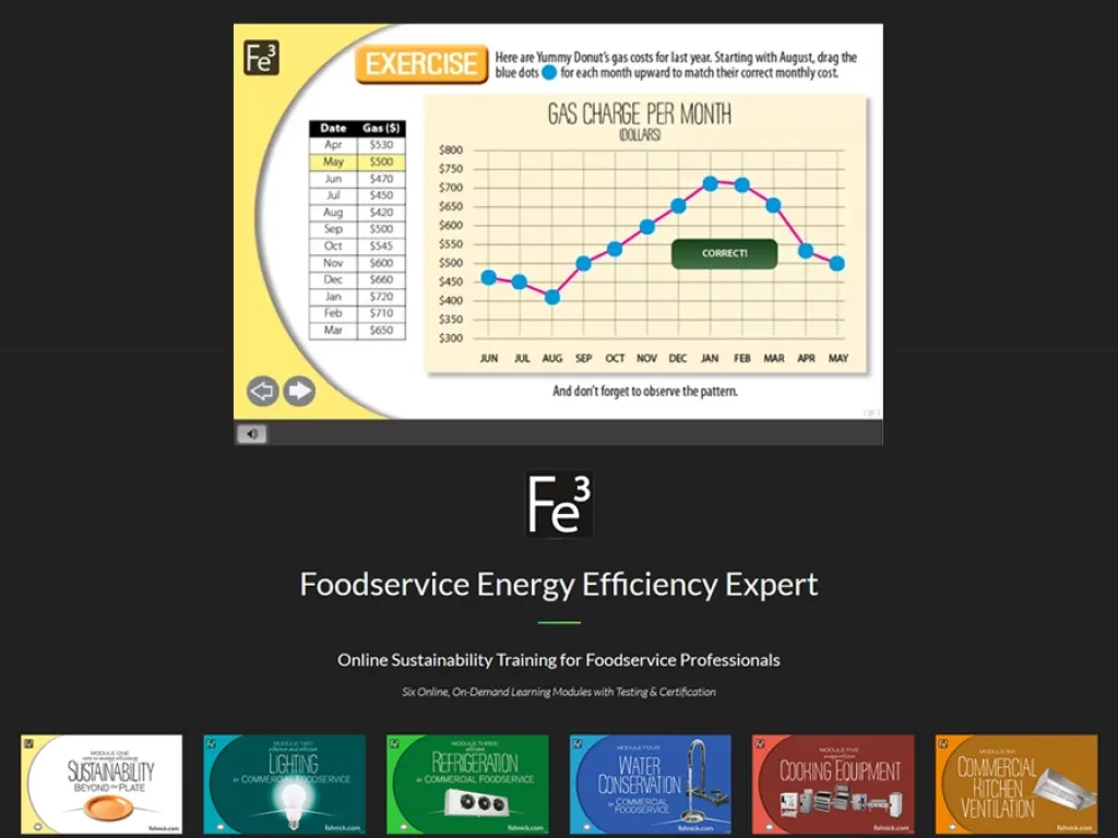 Fe3 Module