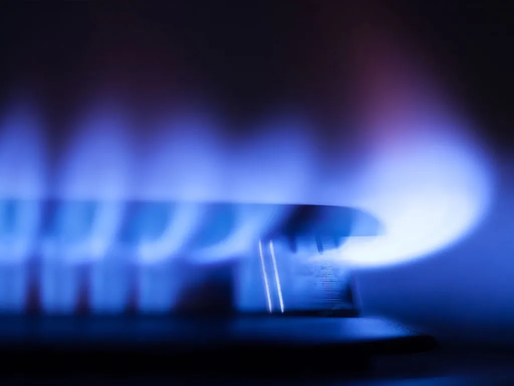 natural gas appliance program image